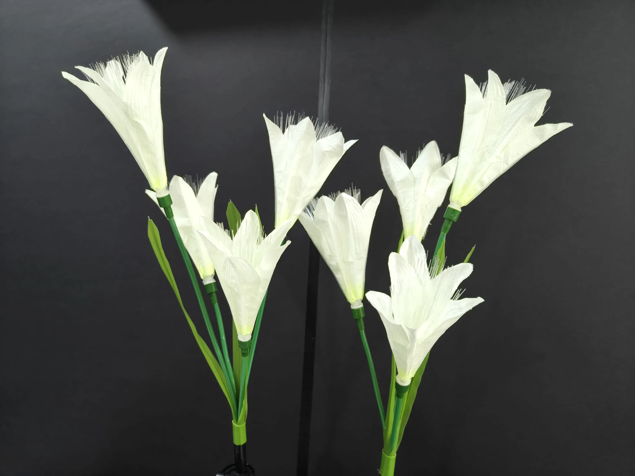 4 heads Lily
