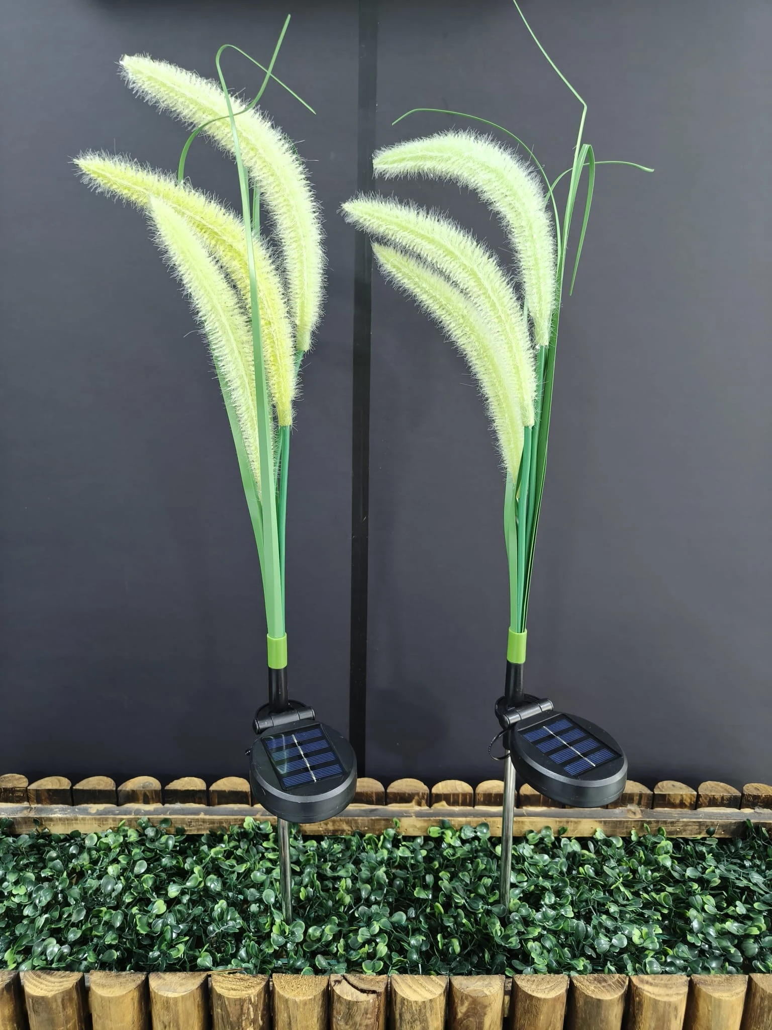 3 Heads Cat Tail