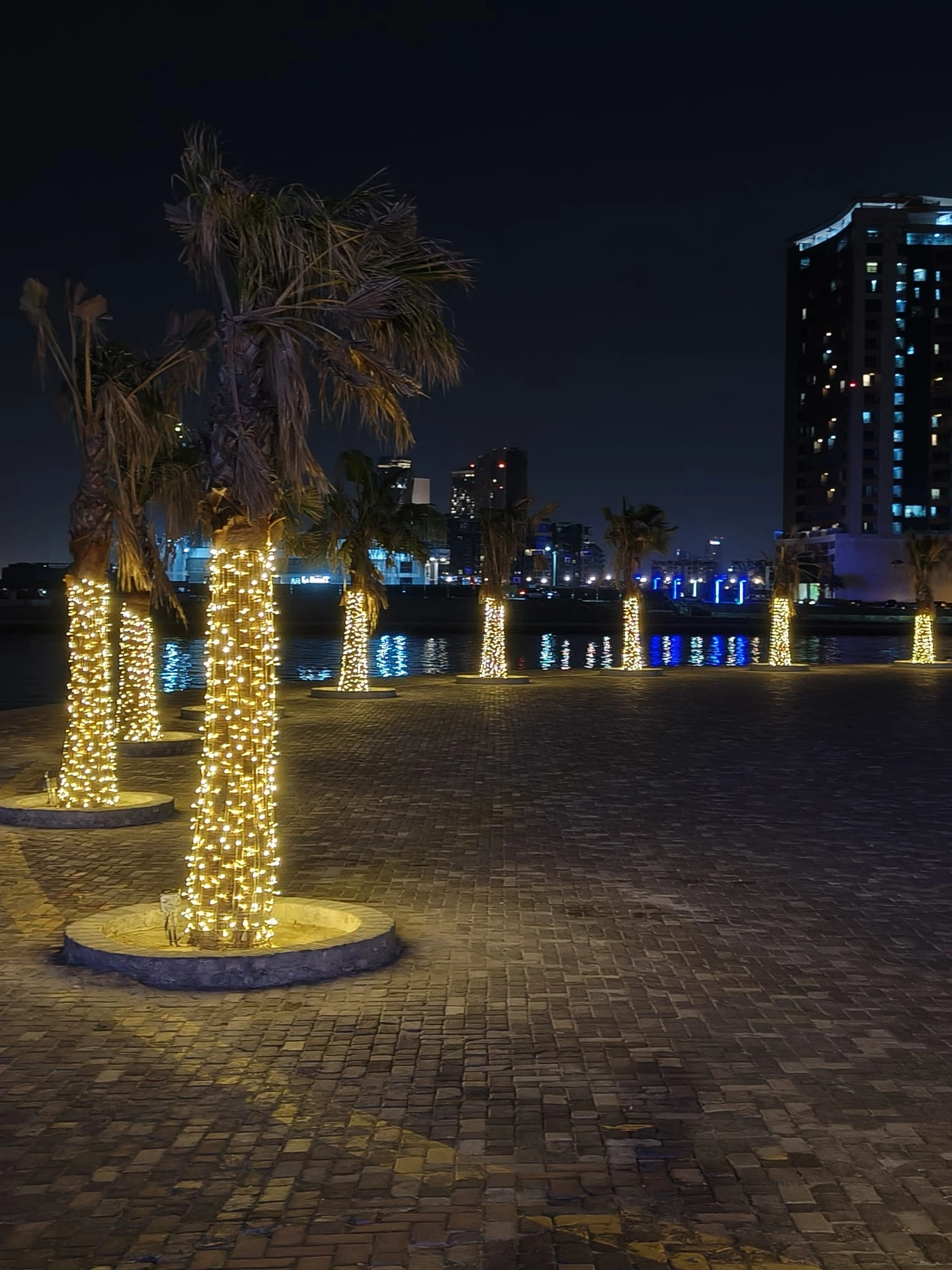 Electric String Lights