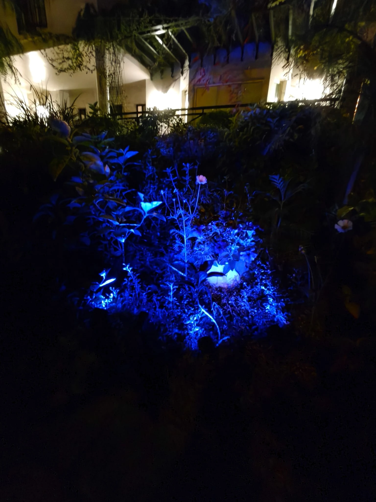4 in 1 Spike Light