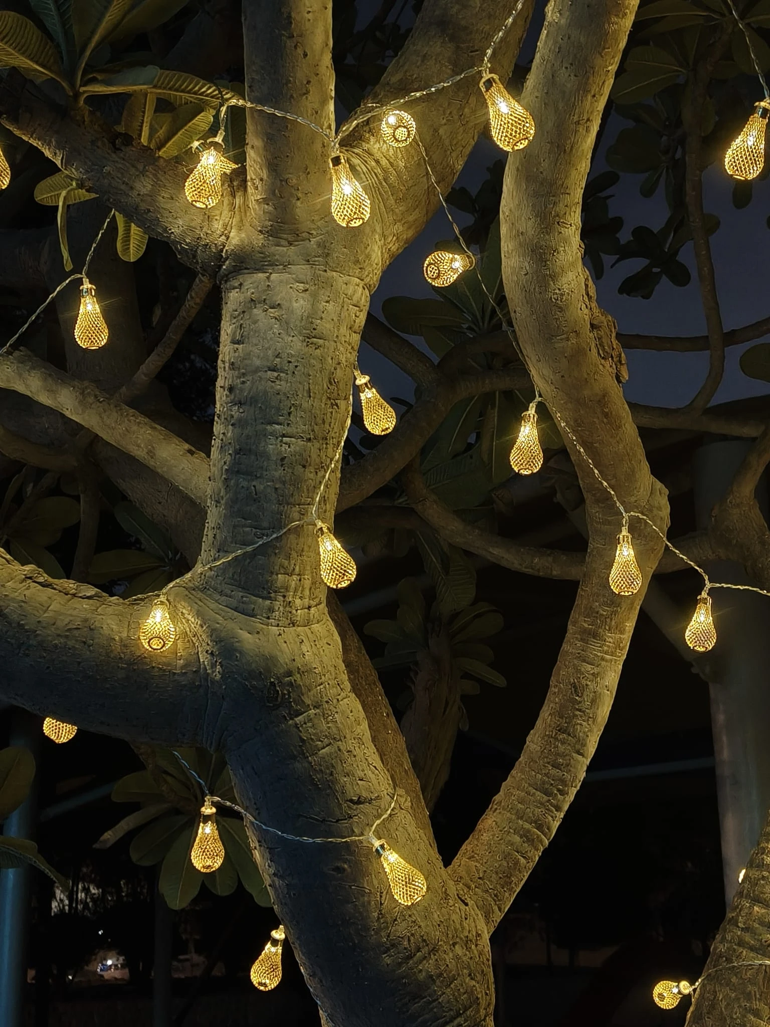 Golden String Lights