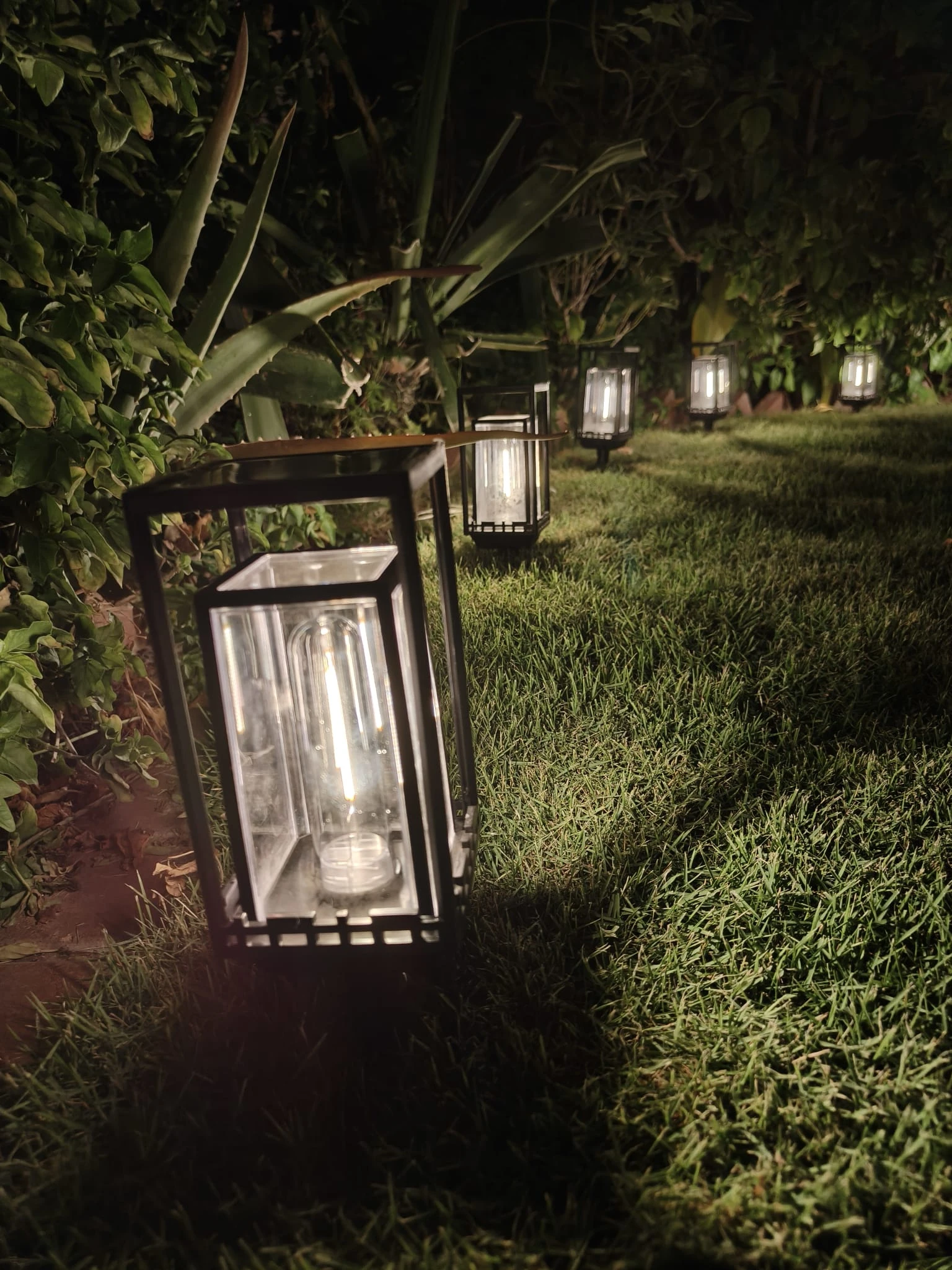Solar Lawn Light - L1
